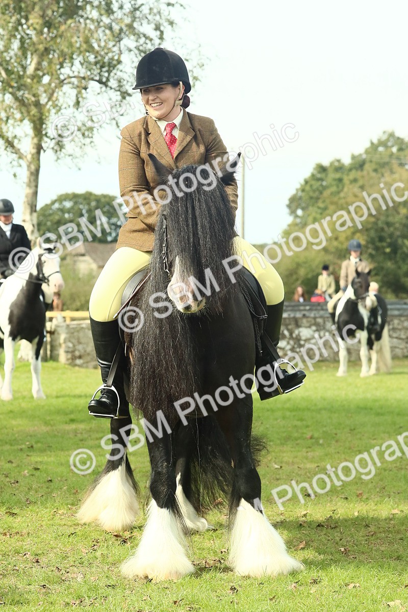 SBM_66735 - S34 - Rehabilitated Rescue Horse & Pony In Hand & Ridden