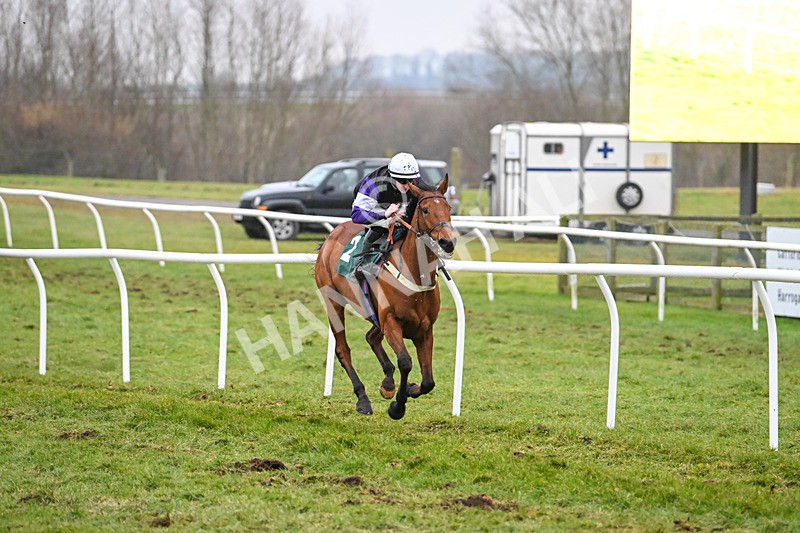 310125-Race 7-Balcomie Breeze-5996 - Race 7
