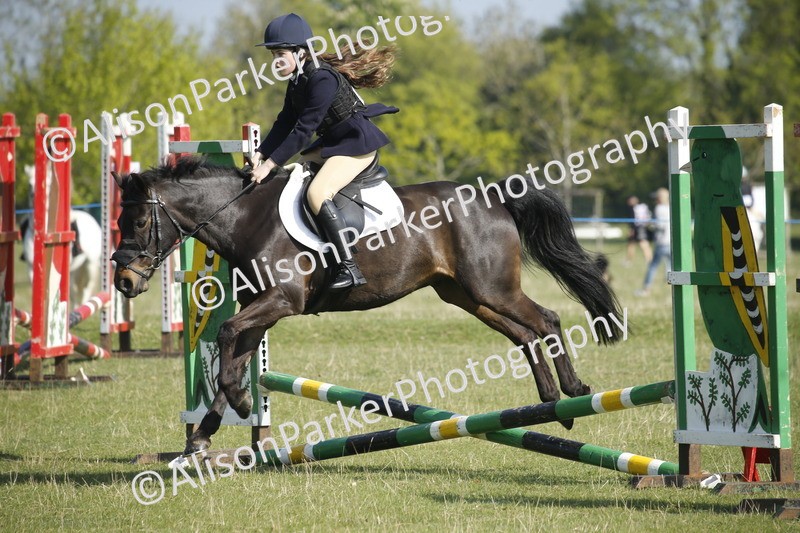 20250427-0336 - Class 12 - Rookie Jumping 40cm