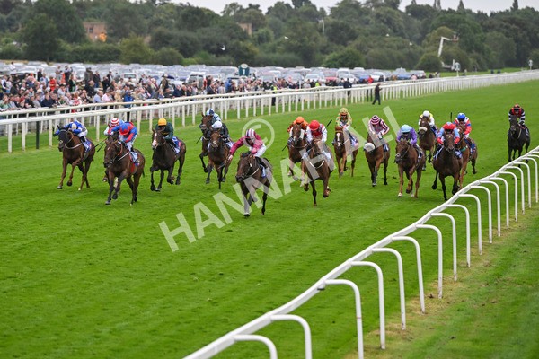 210824-Race 5-Extensio-5372 - Race 5 4.10pm Sky Bet Stayers Handicap