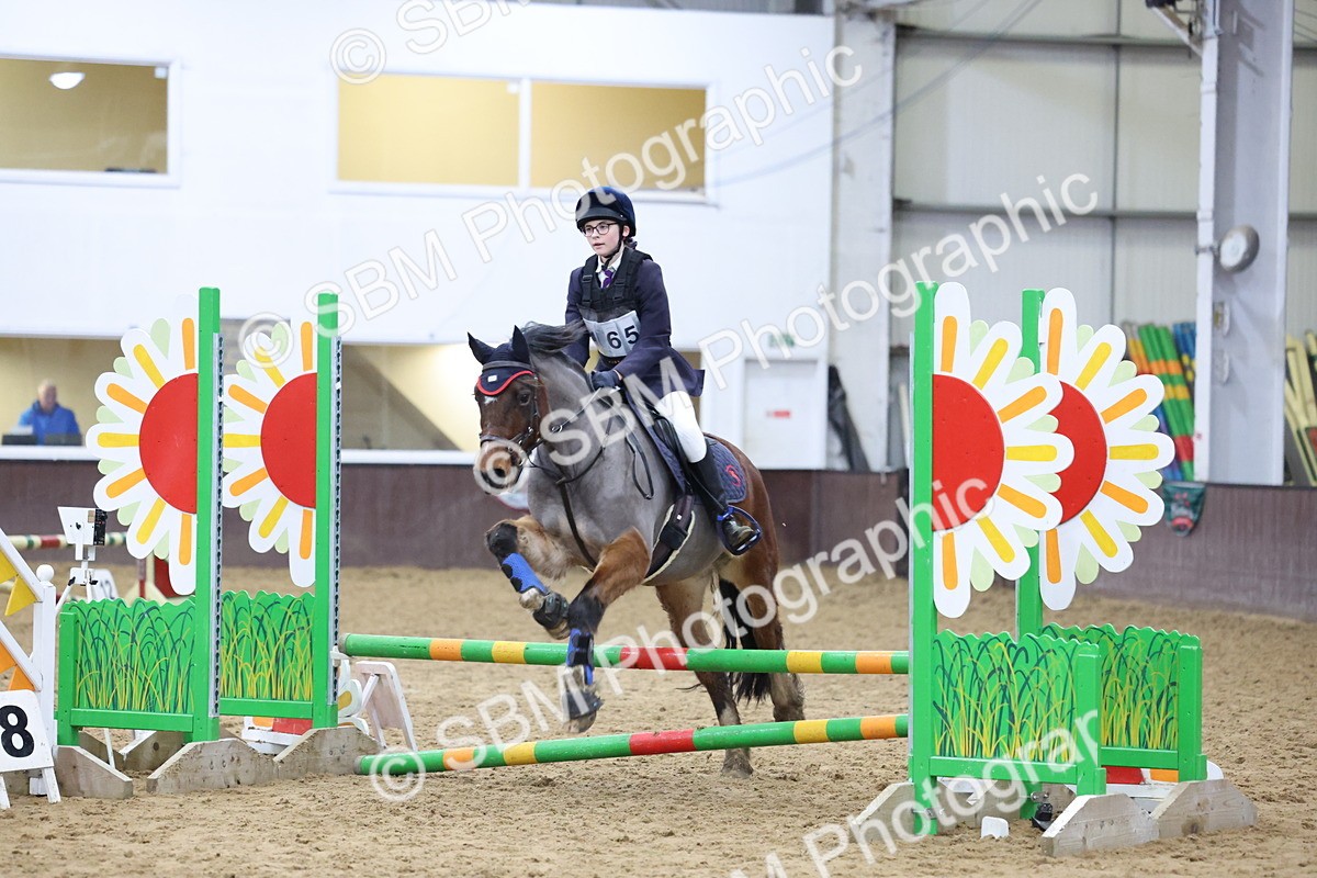 SBM_000977 - Class 3 - Christmas Tree Stakes - 60cm