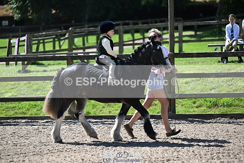 240729B-112011-02323 - Showjumping Competition