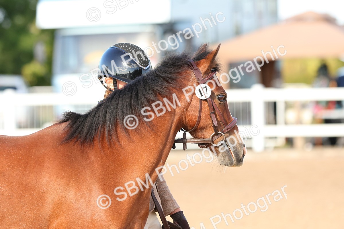 SBM_08638 - Class 203 - Young Handler 10 Years and Under
