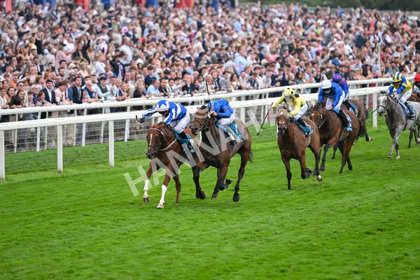 230825-Race 6-Revival Power-0814 - Race 6 4.45pm Julia Graves Roses Stakes