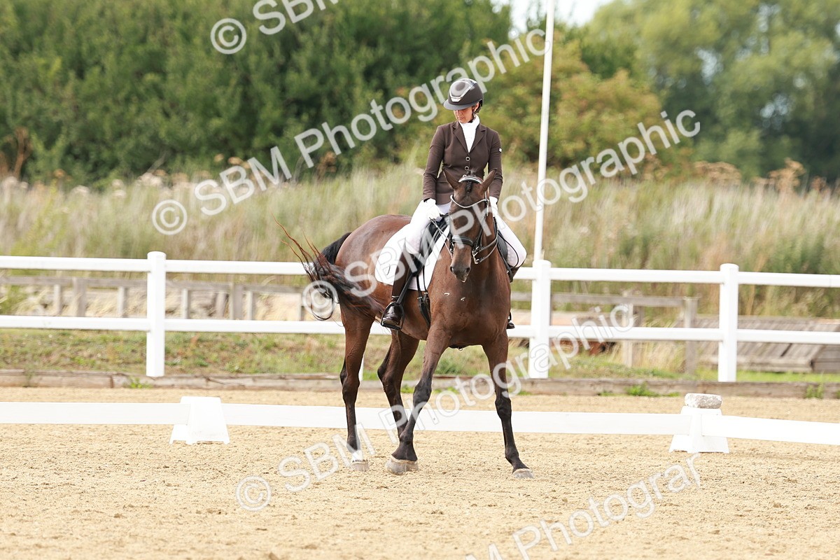 SBM_002388 - Class 11 - Medium 6