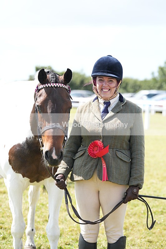 DSC07227 - Coloured Horse In Hand Championship