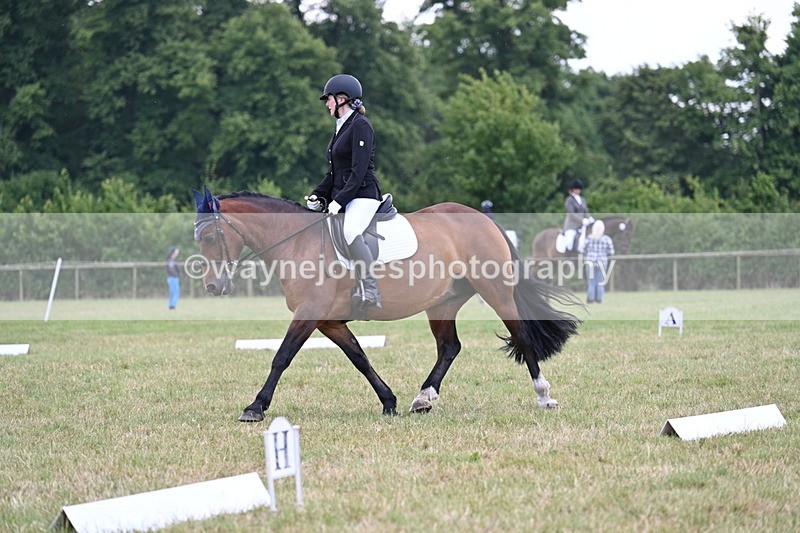 WJ7_6807 - Time 12:45 to 13:01