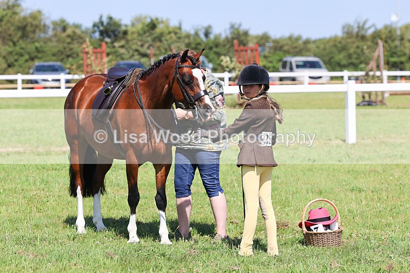 IMG_2050 - Class 34: Show Hunter Pony 153cm and under