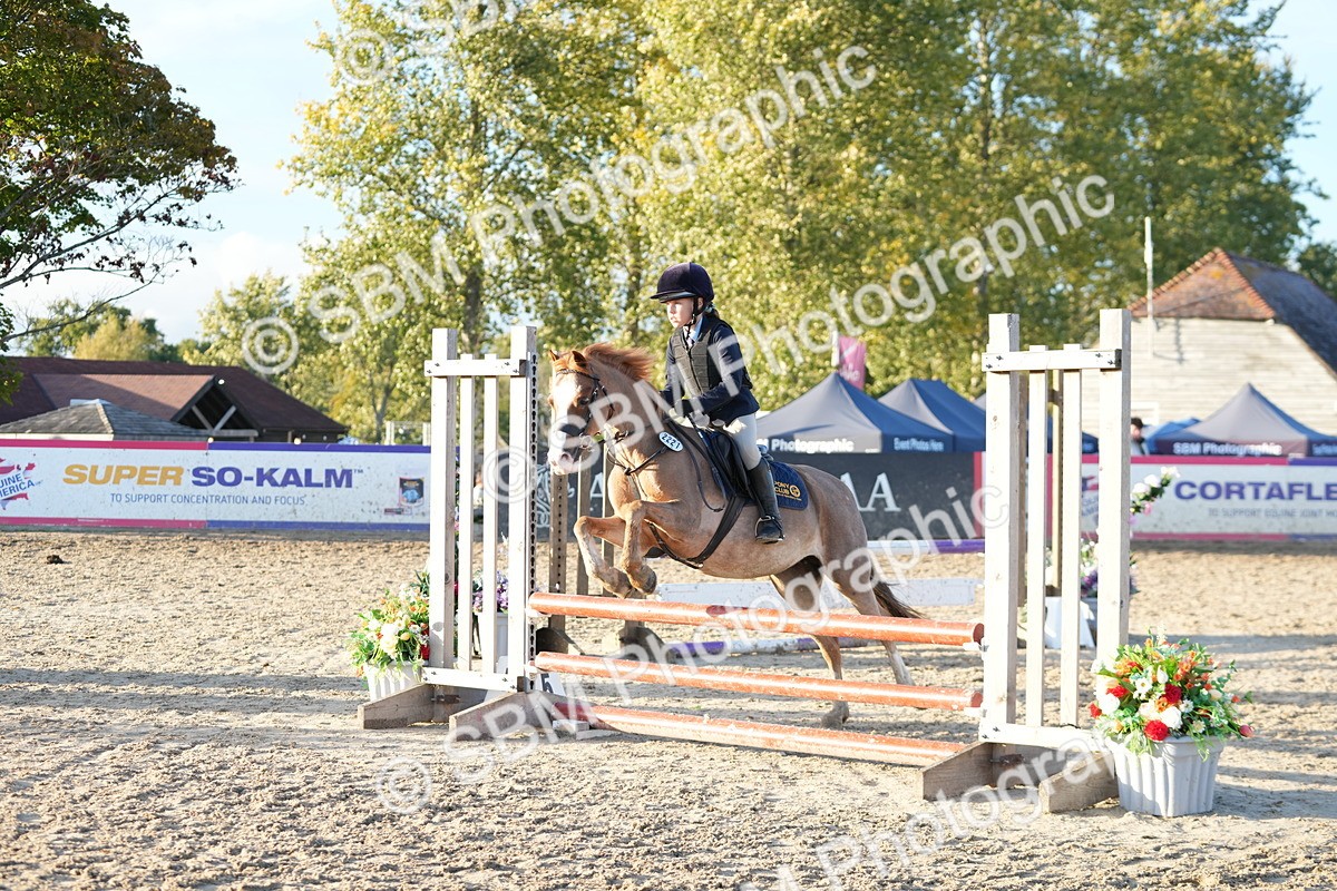 SBM_54093 - Supreme Championship 60cm 65cm