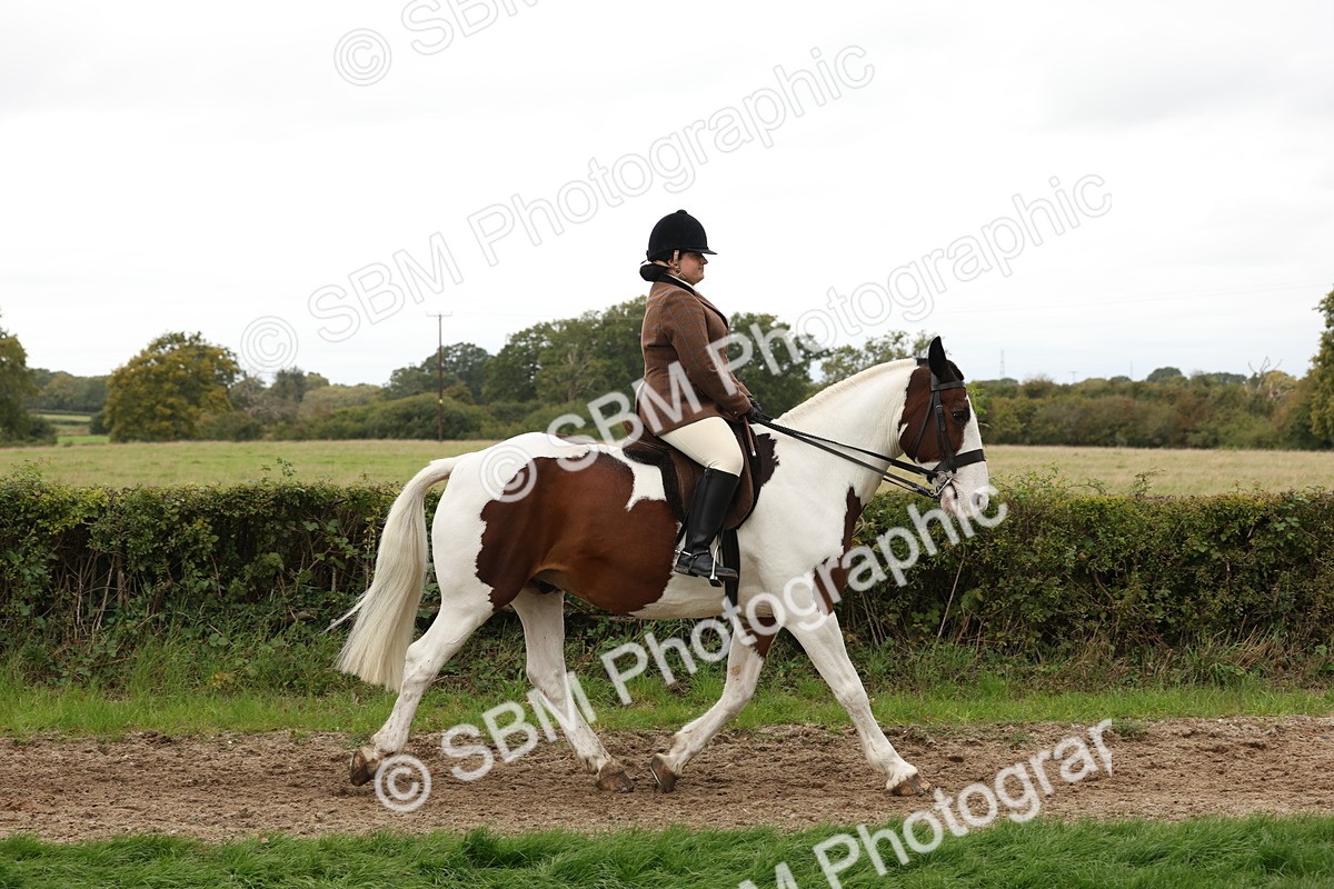 SBM_67217 - S67 - Piebald & Skewbald Horse Ridden