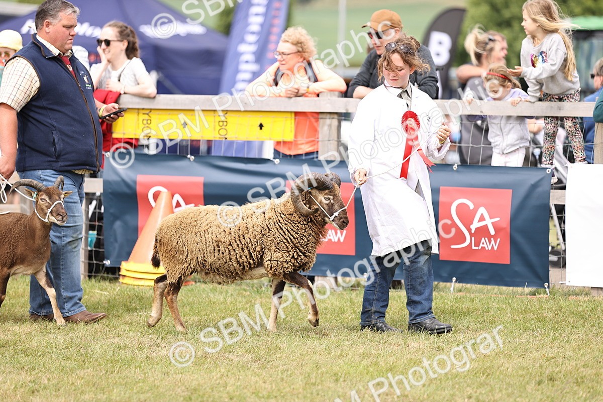 SBM_16855 - Grand Parade