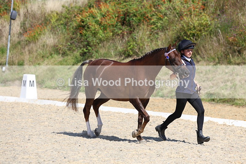 3E7A9699 - Class 32: Best Grass Kept