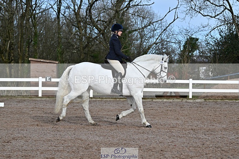 250125-112504-00340 - Dressage - CT Class 5 BE95 (90cm)