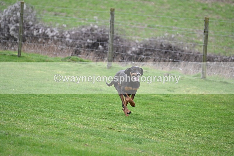 WJ6_8977 - Line Three