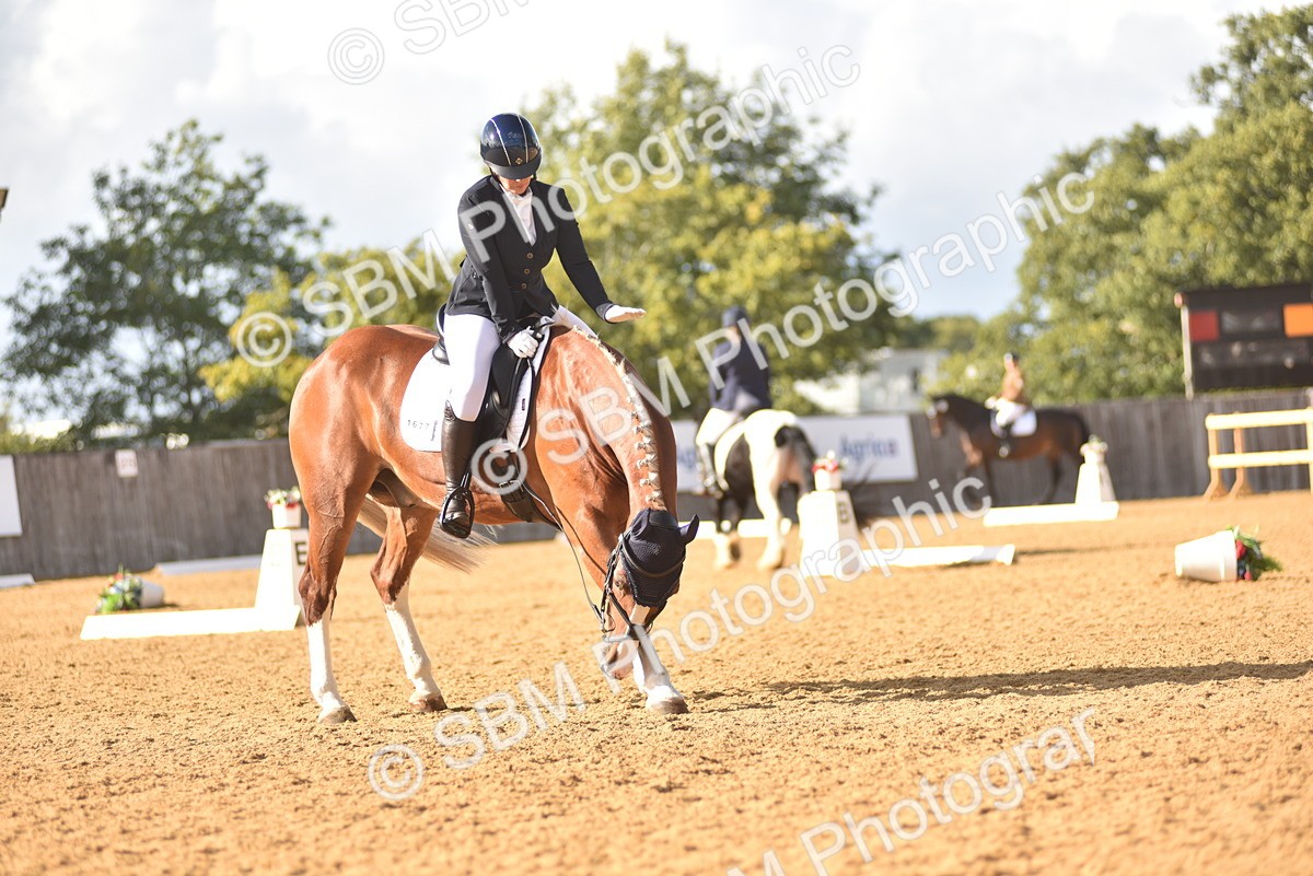 SBM_29587 - D16 -Small Tour Championship Novice 2