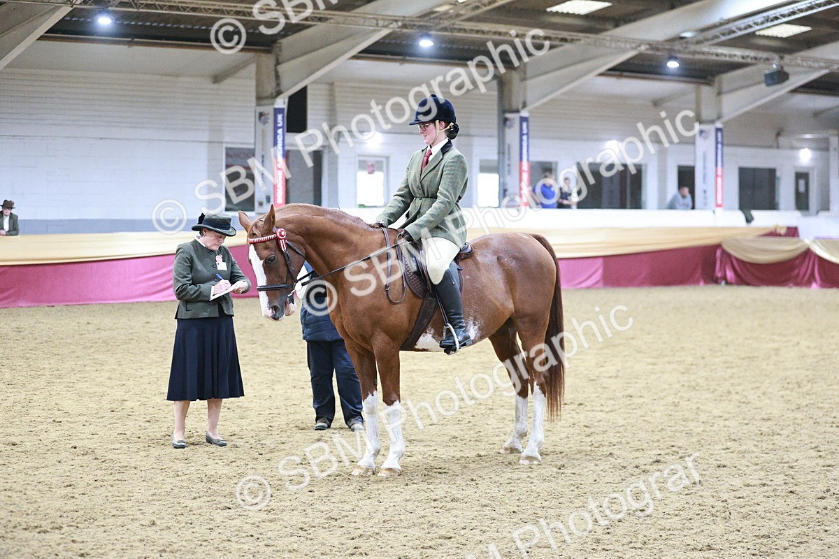 SBM_08121 - Class 11R - Regional Ridden Veteran