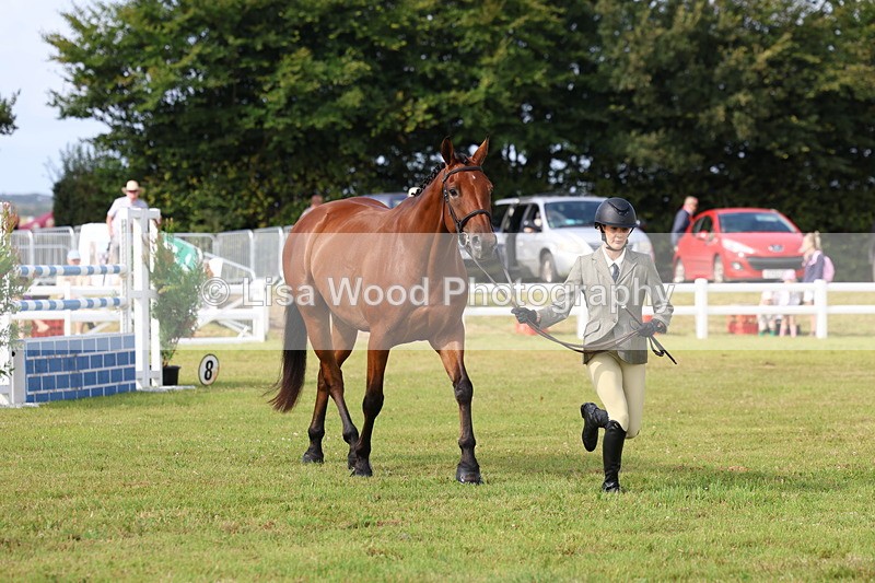 3E7A9017 - Class 3: Rising Star S/L Hunter