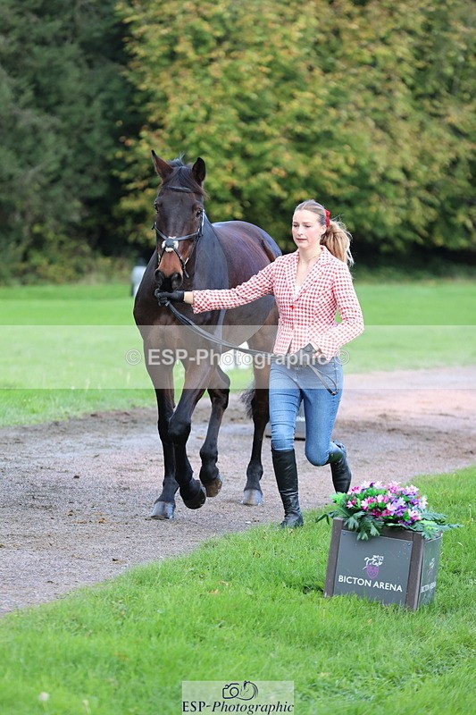 251026A-103406-23104 - E-397-Verity.Leggett