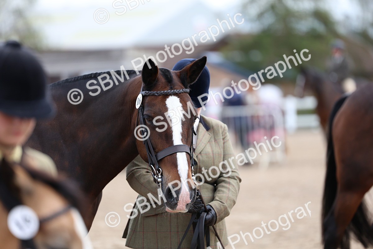 SBM_01489 - Class 17 - Prettiest Mare
