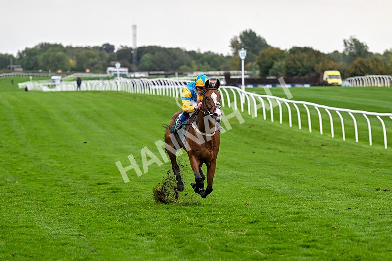 011025-Race 7-Lightning Tiger-0798 - Race 7