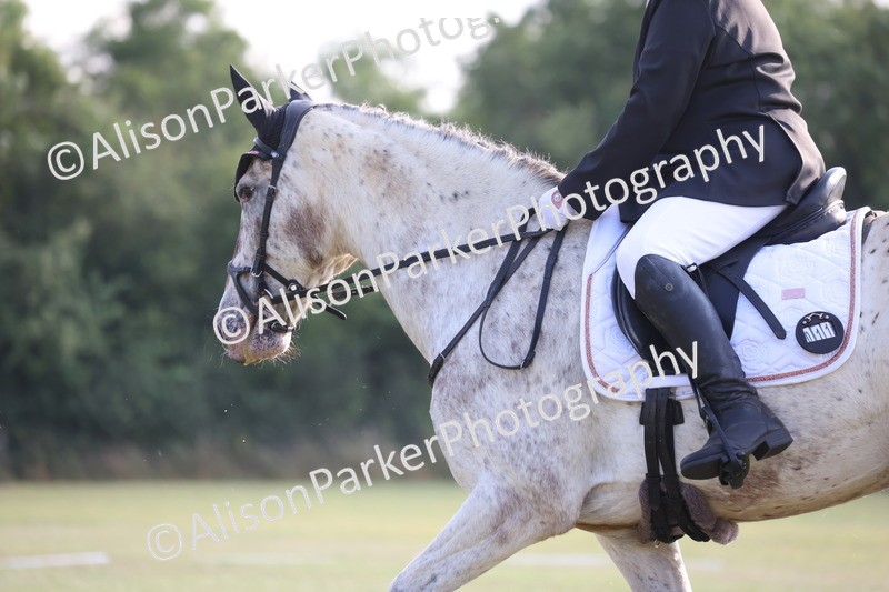 20250731-0604 - Class 1 - Intro 4