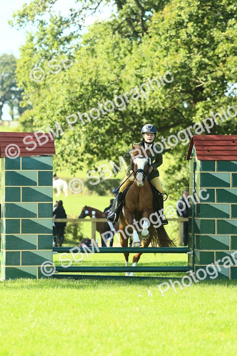 SBM_37451 - S29 - Novice & Newcomers Working Hunter Pony