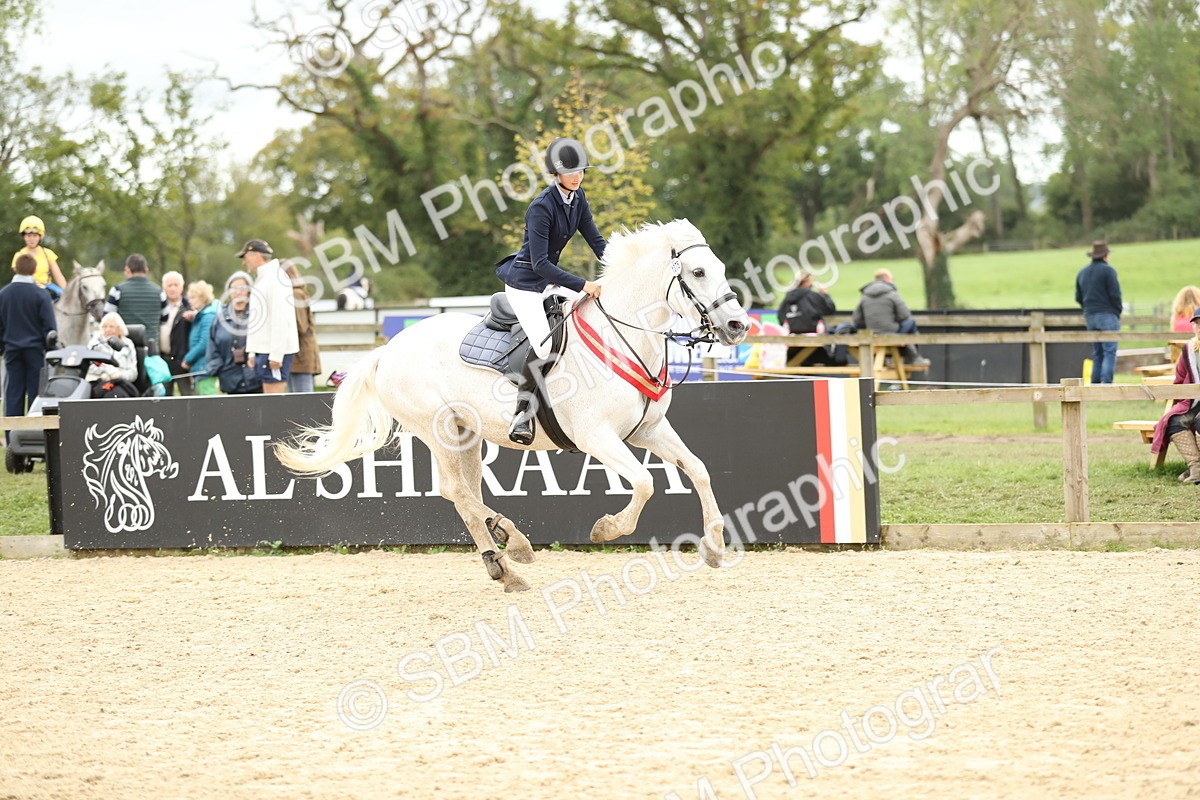 SBM_63201 - Supreme championship 75cm 80cm