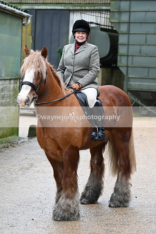 WJ7_8690 - Berks & Bucks - Rowles Farm 15-02-26