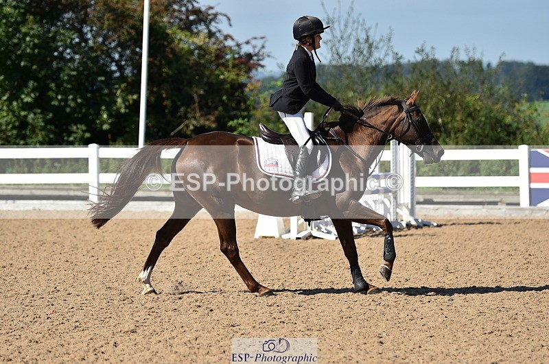 230903A-111342-04142 - Cls 18 Pony Brit Novice & 80cm Open