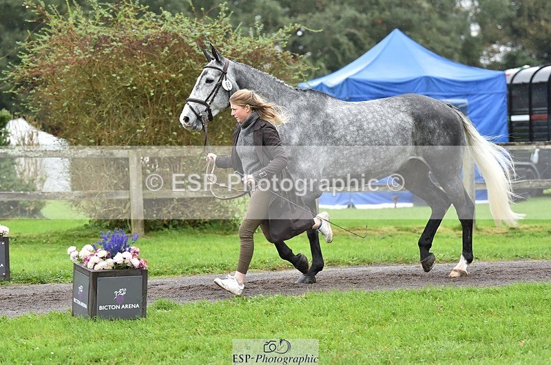 231018-124850-00540 - 068-DASSETT.PREMIER-Kate.Rocher-Smith-TrotUp