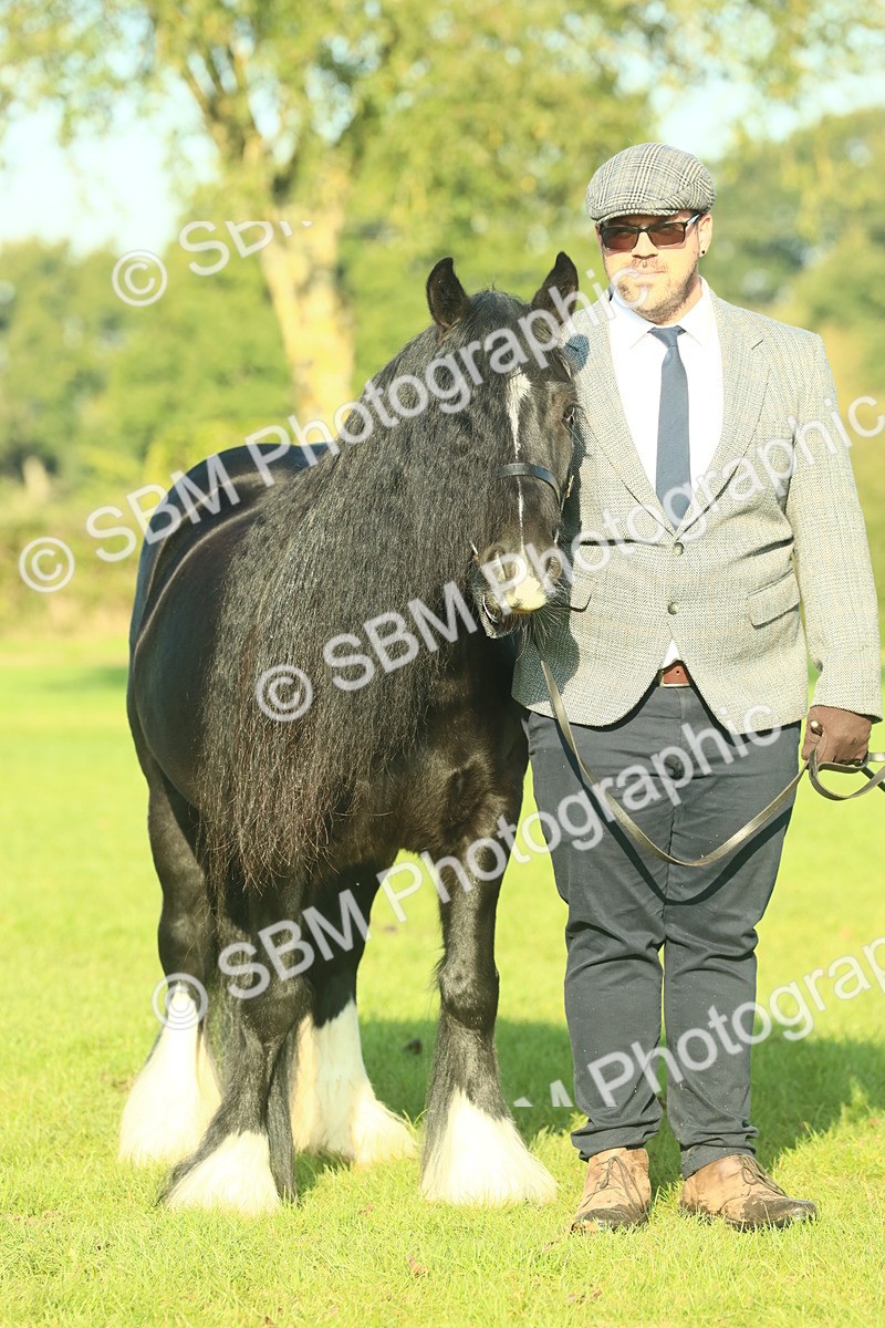 SBM_58585 - S37 - Starters In Hand Showing