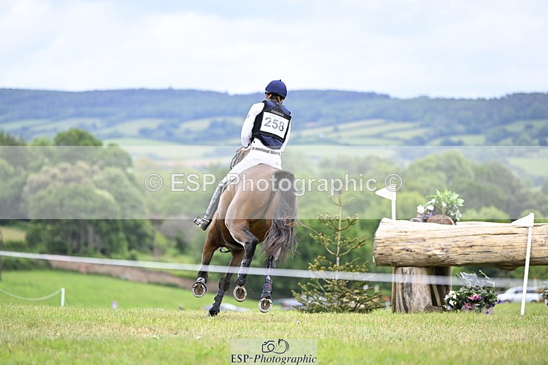 250524A-160758-14496 - C-258-Bill.Levett-ITALIAN.HARLEQUIN.NJ