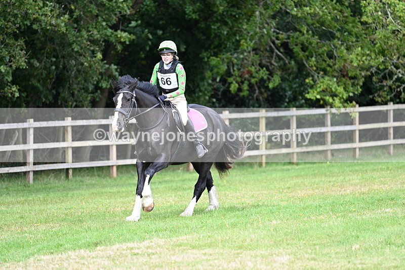 WJ7_8902 - 60cm Time 12:31 to 12:50