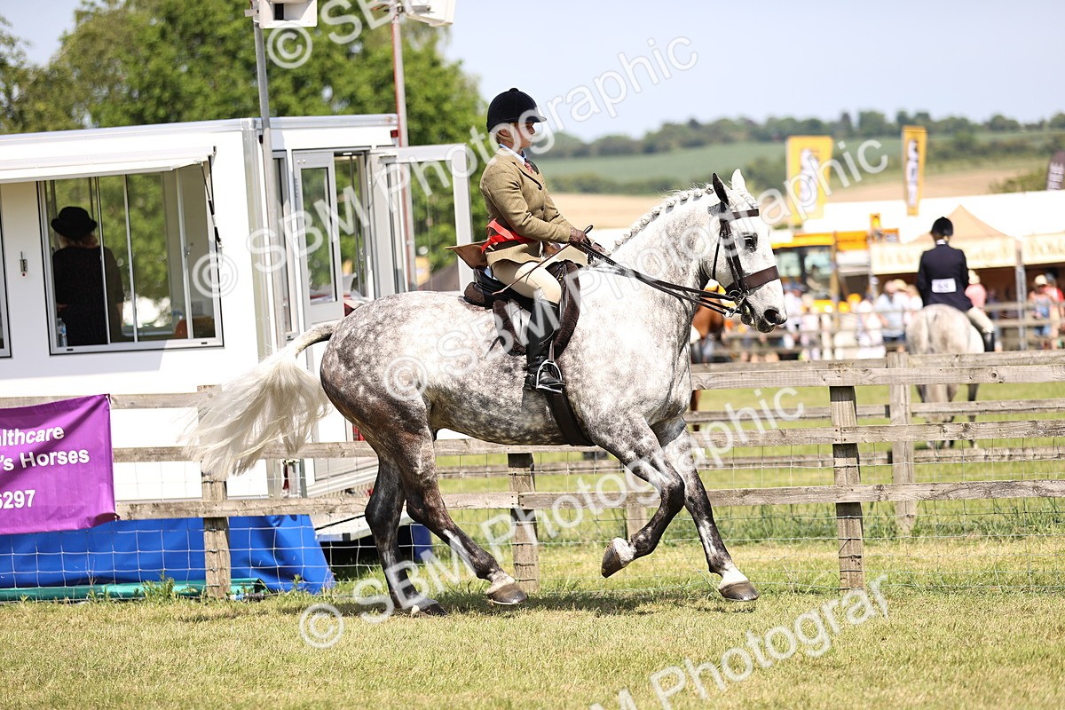 SBM_16226 - Class 79-80 - LIHS BSHA Rising Star Ridden Hunter