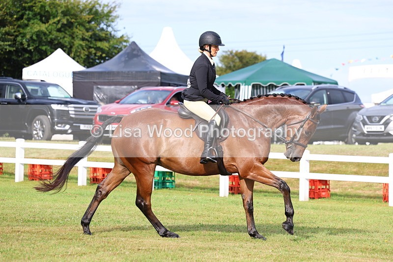 3E7A8031 - Class 2: Rising Star Large Hack/Riding Horse