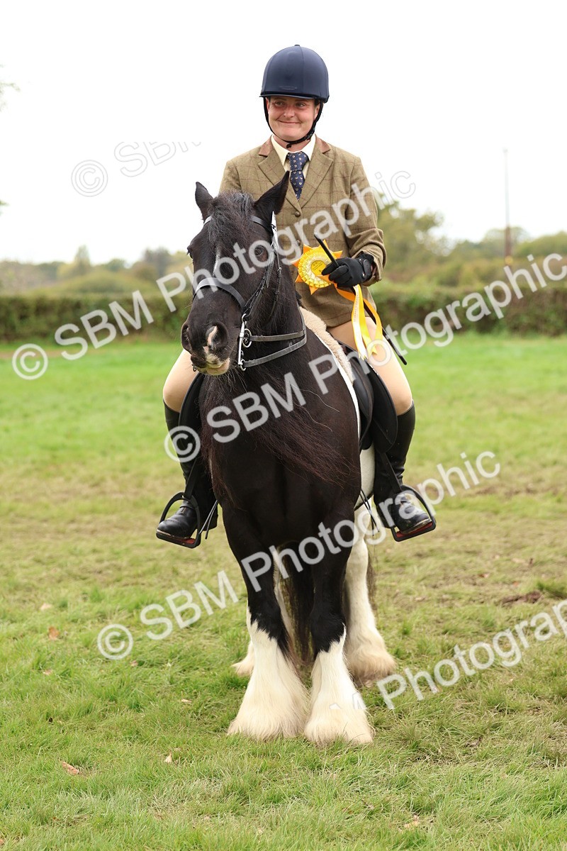 SBM_64672 - S58 - Coloured Pony Ridden