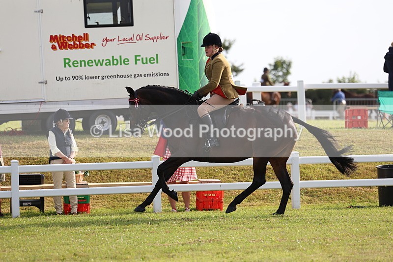 3E7A7742 - Class 1: Rising Star Small Hack/Riding Horses