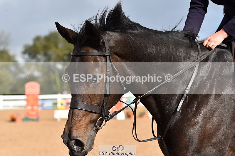 231014A-120602-04791 - Cls 14 95cm Grand Prix