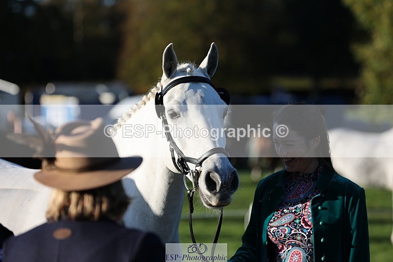 241027-083831-14717 - 324-Helena.Pope-ROSSALOUGHA.TED