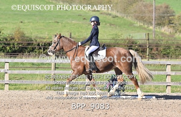 BPP_9083 - SHORT ARENA INTRO 3
