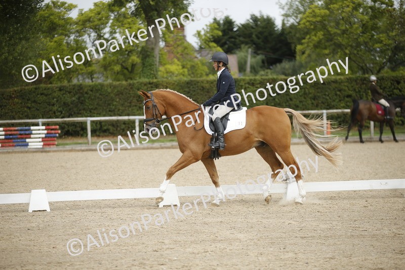 20260913-0193 - Class 3 - Novice 5