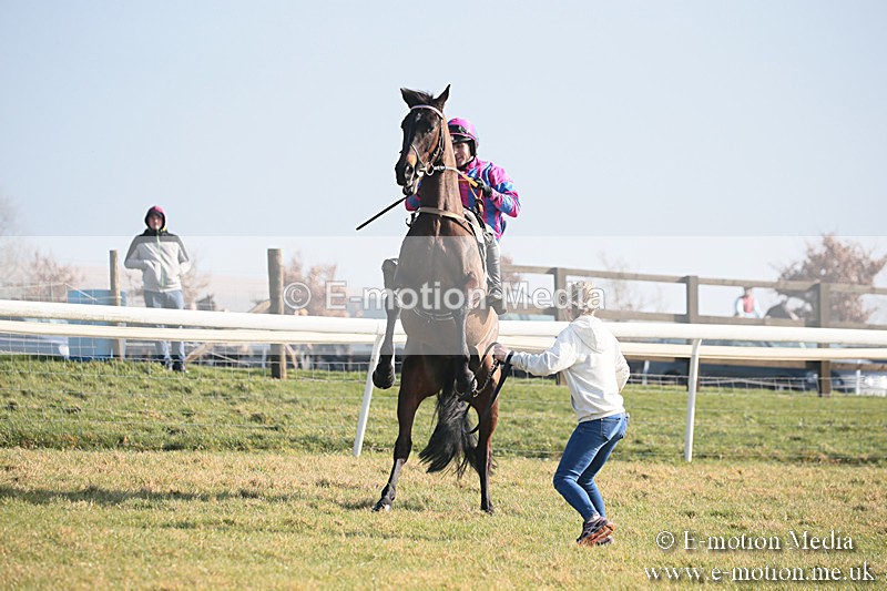 PtP 230219 25 - Vine & Craven Point-To-Point - Barbury 23/02/19