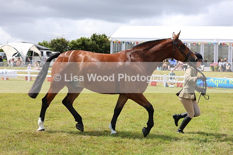 3E7A2248 - Class 10: Open Cob