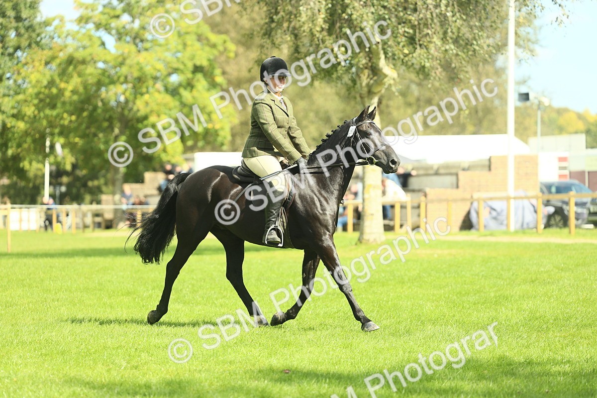 SBM_42059 - S29 - Novice & Newcomers Working Hunter Pony