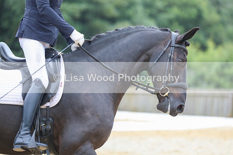 3E7A9094 - Class 4: Prelim 3 2024 - Section B