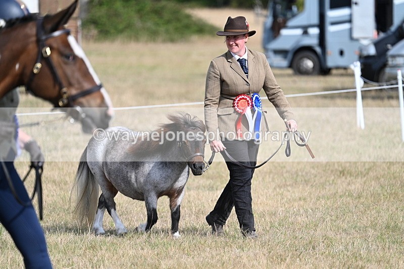 WJ7_8023 - In-hand Championship