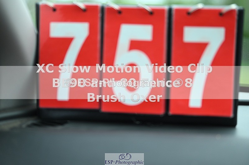 250419-143709-12002 - 757-Honey.Rogers-TREWITHIAN.JAY.TWO.OH