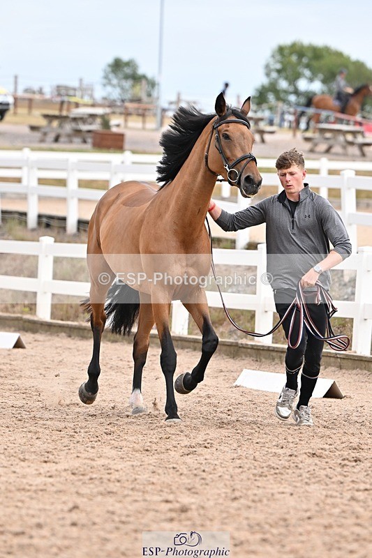 250716-151607-01834 - Trot Up 2.30 to 3.30