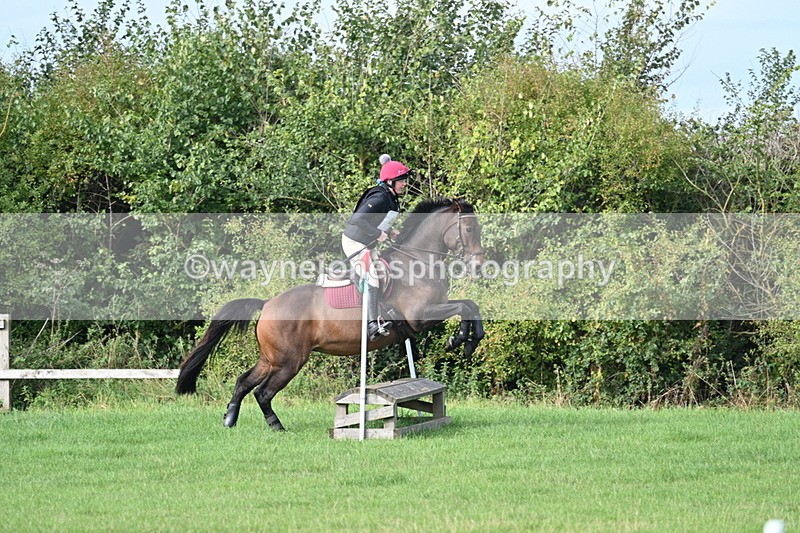 WJ7_8298 - 60cm Pairs