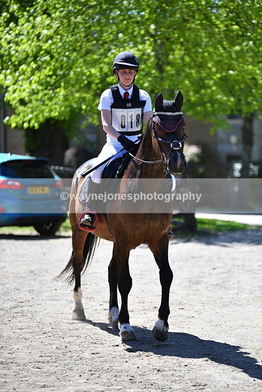 WJ5_7496 - 80cm time 12:47 to 13:39